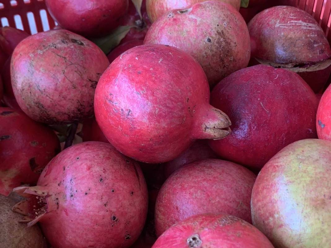 Neye niyet, neye kısmet: İlçenin ekonomisini ayağa kaldırdı! Yüksek gelir elde ediyorlar, kapış kapış satılıyor 10